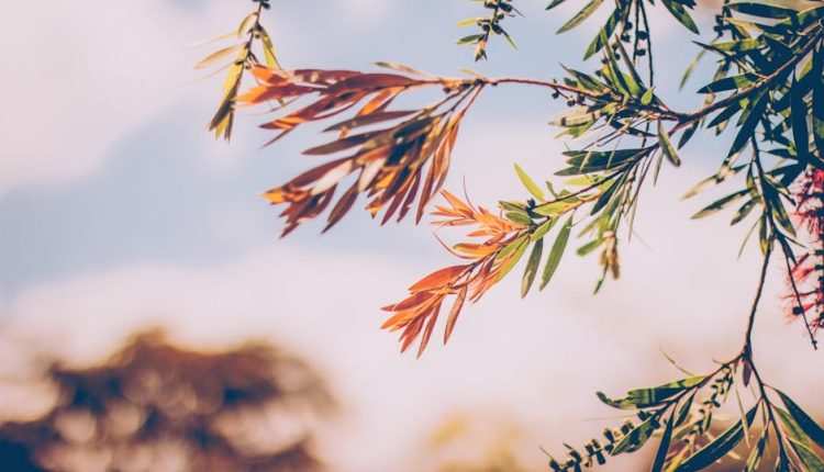 september novel summary