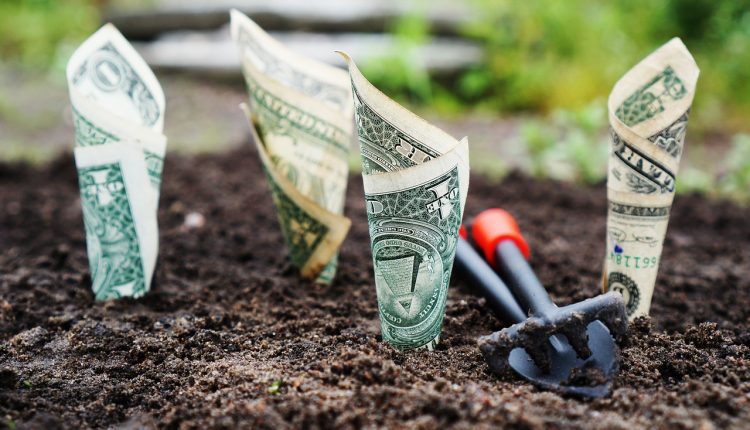 gunluk faiz veren bankalar